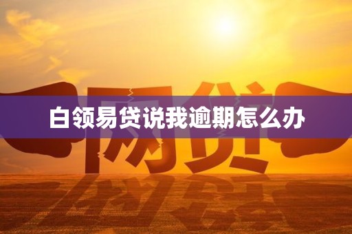 白领易贷说我逾期怎么办