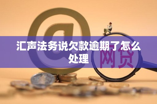 汇声法务说欠款逾期了怎么处理