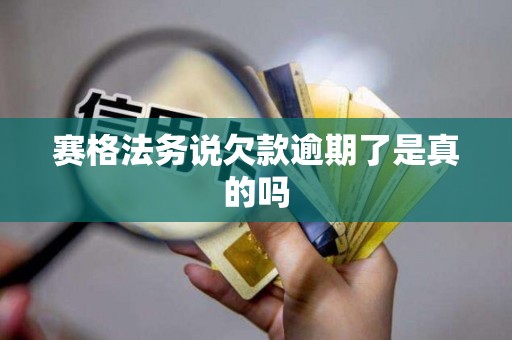 赛格法务说欠款逾期了是真的吗