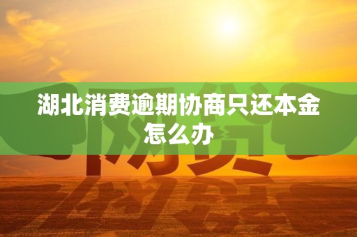 湖北消费逾期协商只还本金怎么办