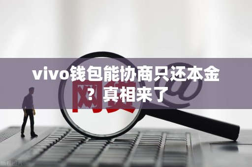 vivo钱包能协商只还本金?真相来了 vivo钱包能协商只还本金?真相来了