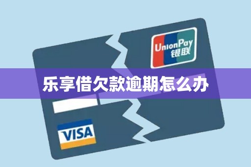 乐享借欠款逾期怎么办