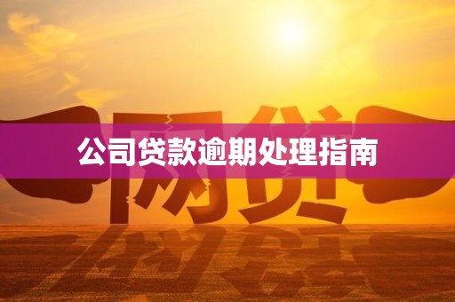 公司贷款逾期处理指南