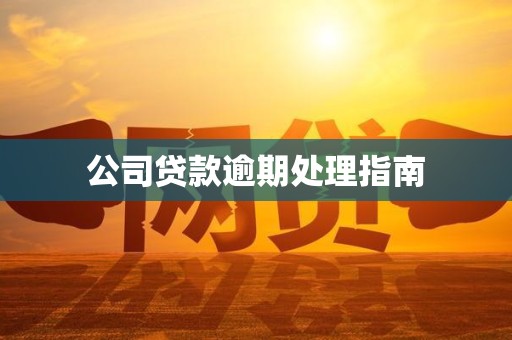 公司贷款逾期处理指南