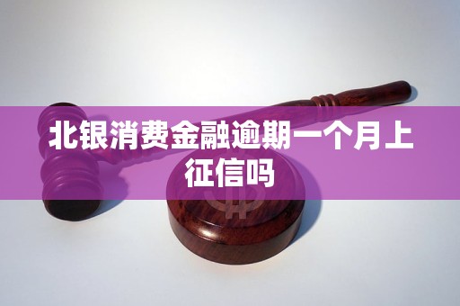 北银消费金融逾期一个月上征信吗 北银消费金融逾期一个月上征信吗