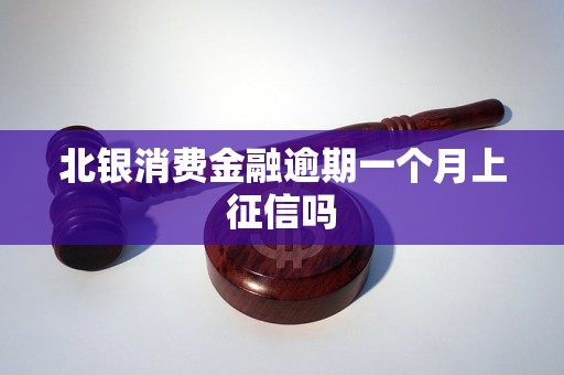 北银消费金融逾期一个月上征信吗 北银消费金融逾期一个月上征信吗