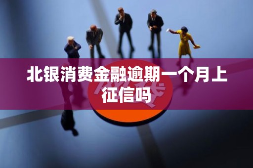 北银消费金融逾期一个月上征信吗 北银消费金融逾期一个月上征信吗