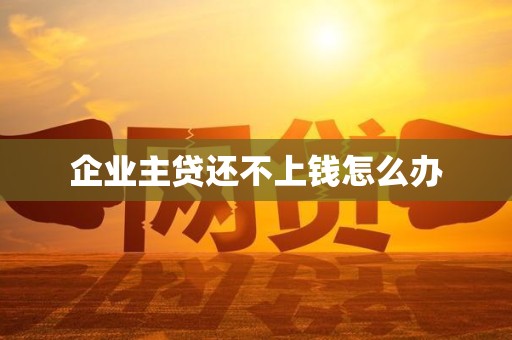 企业主贷还不上钱怎么办