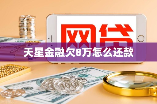 天星金融欠8万怎么还款