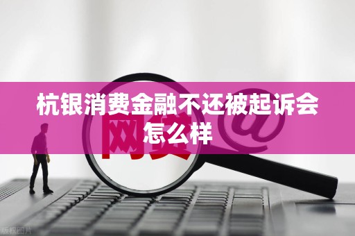 杭银消费金融不还被起诉会怎么样