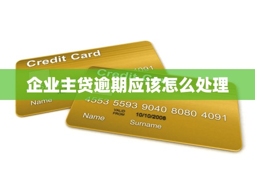 企业主贷逾期应该怎么处理