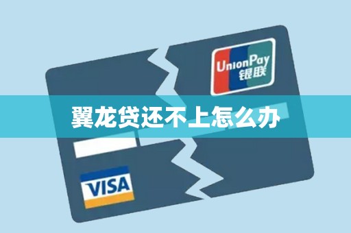 翼龙贷还不上怎么办