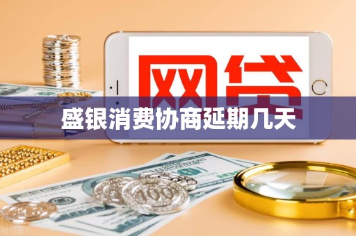 盛银消费协商延期几天