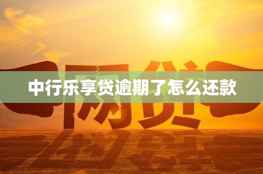 中行乐享贷逾期了怎么还款 中行乐享贷逾期了怎么还款
