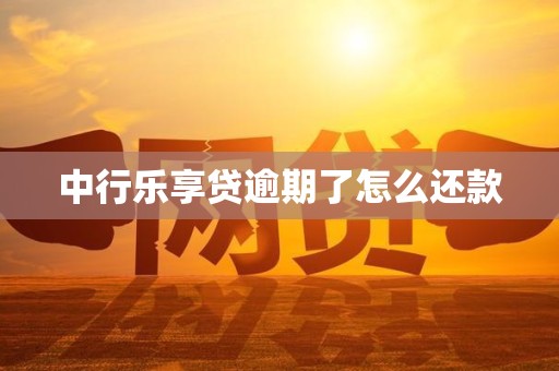 中行乐享贷逾期了怎么还款 中行乐享贷逾期了怎么还款