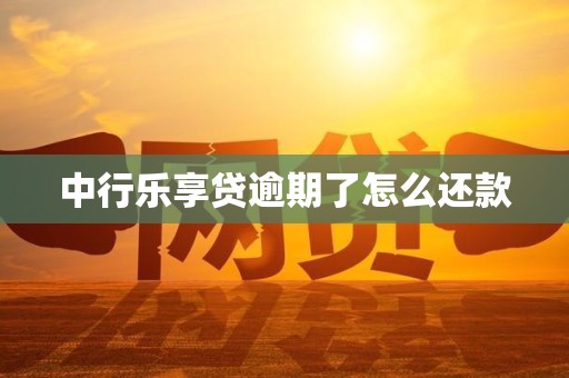 中行乐享贷逾期了怎么还款 中行乐享贷逾期了怎么还款