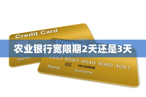 农业银行宽限期2天还是3天