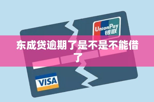 东成贷逾期了是不是不能借了