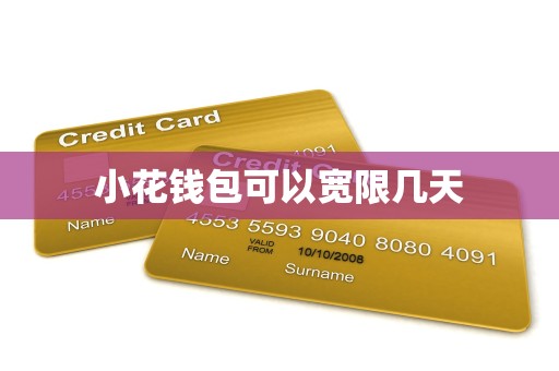 小花钱包可以宽限几天