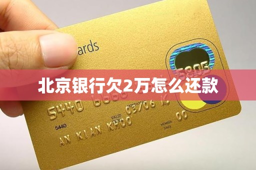 北京银行欠2万怎么还款 北京银行欠2万怎么还款