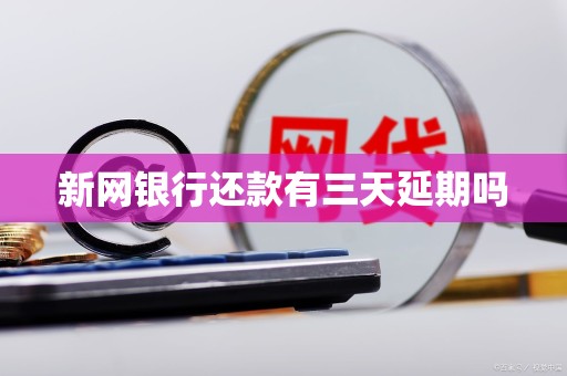 新网银行还款有三天延期吗