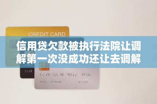 信用贷欠款被执行法院让调解第一次没成功还让去调解