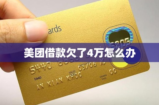 美团借款欠了4万怎么办