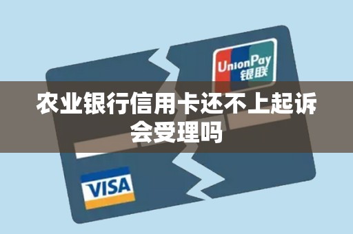 农业银行信用卡还不上起诉会受理吗