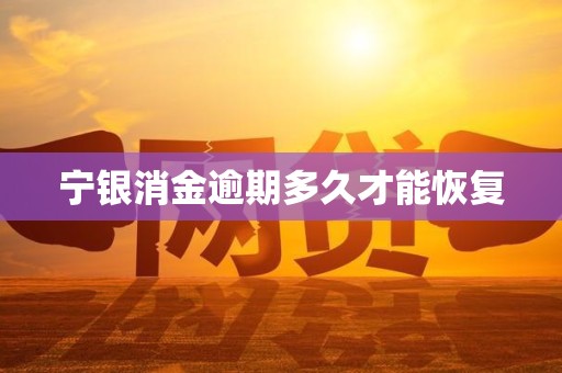 宁银消金逾期多久才能恢复 宁银消金逾期多久才能恢复