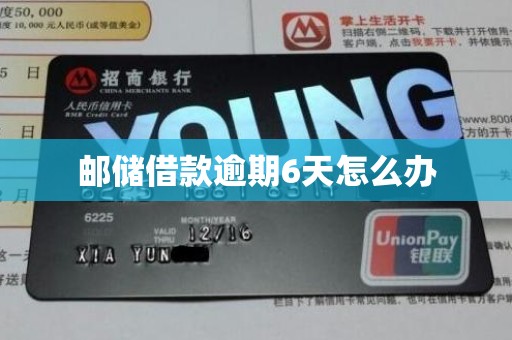 邮储借款逾期6天怎么办