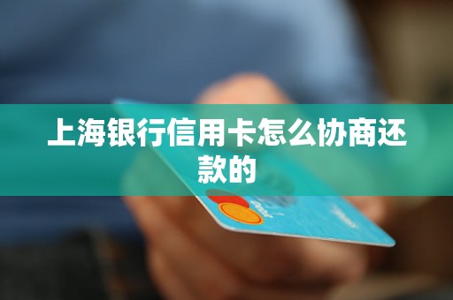 上海银行信用卡怎么协商还款的