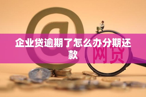 企业贷逾期了怎么办分期还款