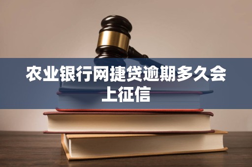 农业银行网捷贷逾期多久会上征信