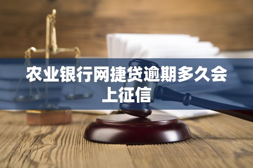 农业银行网捷贷逾期多久会上征信