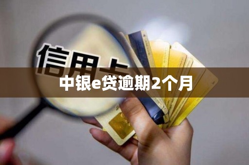 中银e贷逾期2个月