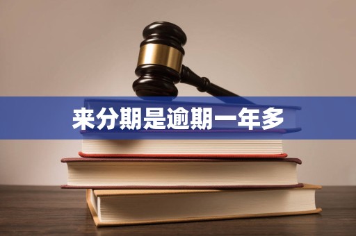 来分期是逾期一年多