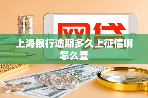 上海银行逾期多久上征信啊怎么查