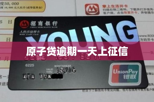 原子贷逾期一天上征信