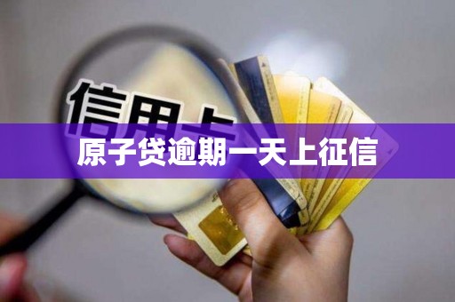 原子贷逾期一天上征信