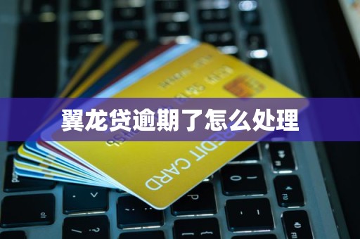 翼龙贷逾期了怎么处理