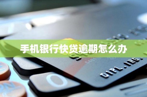 手机银行快贷逾期怎么办 手机银行快贷逾期怎么办