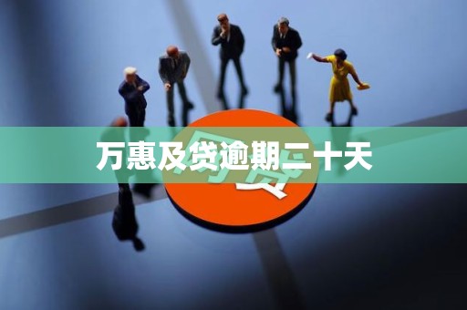 万惠及贷逾期二十天