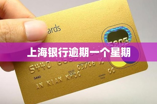 上海银行逾期一个星期