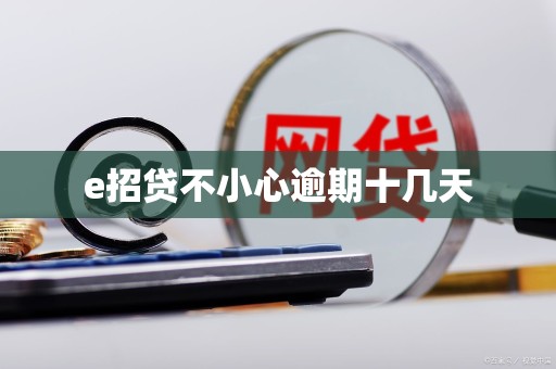 e招贷不小心逾期十几天 e招贷不小心逾期十几天