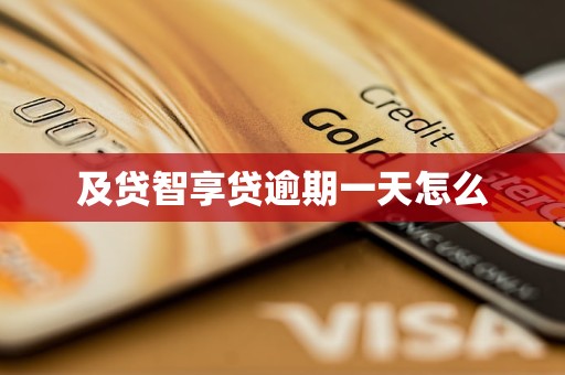 及贷智享贷逾期一天怎么