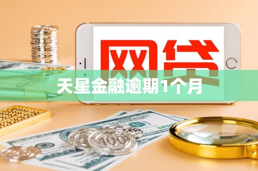 天星金融逾期1个月