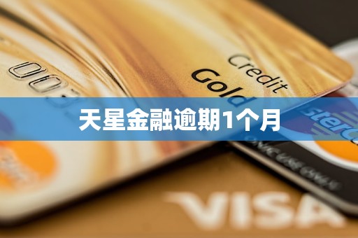 天星金融逾期1个月
