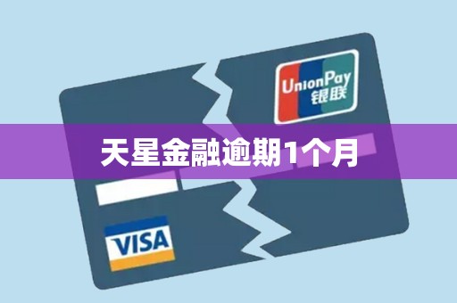 天星金融逾期1个月