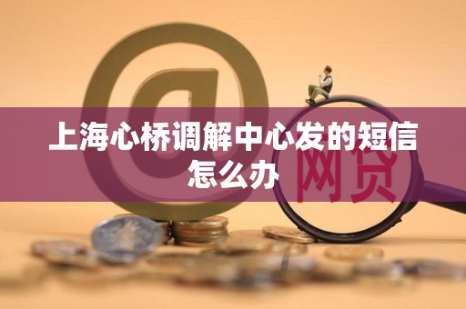 上海心桥调解中心发的短信怎么办