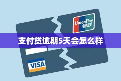 支付贷逾期5天会怎么样